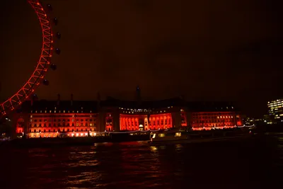 DSC_5724 (Large).JPG